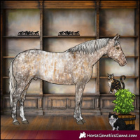 Horse Color:Powder White Chocolate Palomino Dun Mushroom Skewed Appaloosa Brindle and Powder White Liver Red Dun Mushroom Skewed Appaloosa Brindle