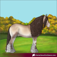 Horse Color:Classic Champagne Onyx 