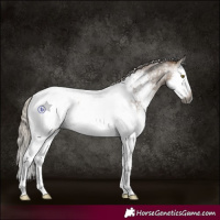 Horse Color:Gray Silver Bay Roan Dun Splash Frame Near Fewspot Rabicano