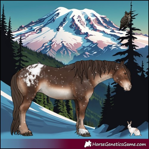 Horse Color:Liver Chestnut Blanket 