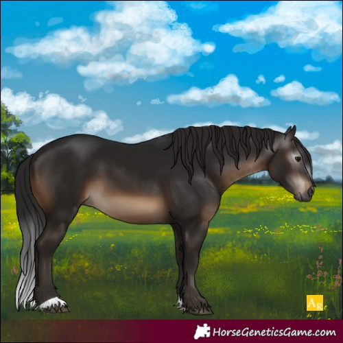 Horse Color:Gray Brown 