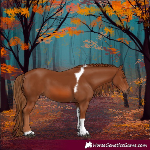 Horse Color:Chestnut Tobiano 