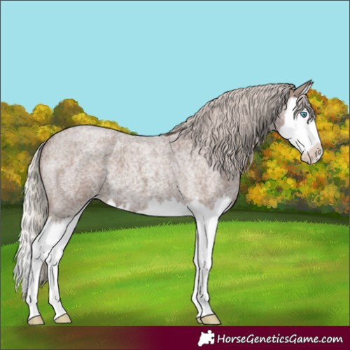 Horse Color:Silver Blue Roan Splash 