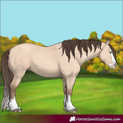 Horse Color:Amber Champagne Dun Splash