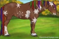 Horse Color:Painted Chestnut Ice 