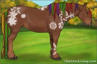 Horse Color:Painted Chestnut Ice 