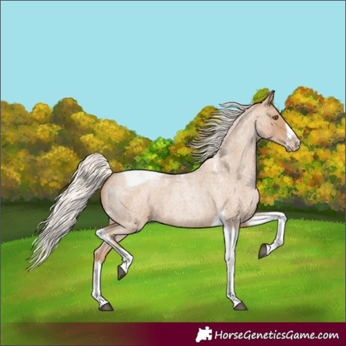 Horse Color:Silver Blue Roan Pearl Tobiano Frame
