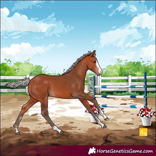 Horse Color:Silver Bay 