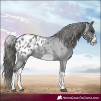 Horse Color:White Spotted Blue Roan Splash Frame Blanket 