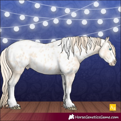 Horse Color:Perlino Sabino Appaloosa 