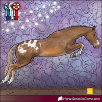 Horse Color:Chocolate Palomino Blanket