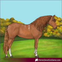 Horse Color:Powder White Chestnut