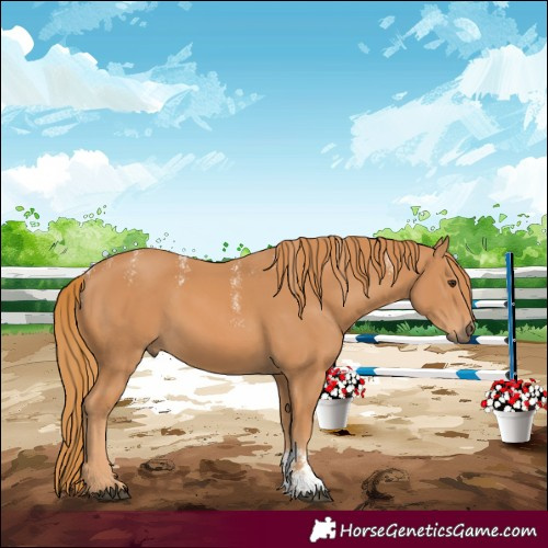 Horse Color:Powder White Chestnut 