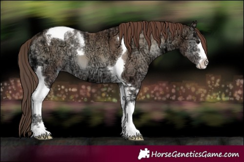 Horse Color:Classic Champagne Ice Onyx Tobiano 