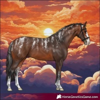 Horse Color:Powder White Bay 