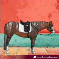 Horse Color:Powder White Bay 