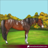 Horse Color:Powder White Bay