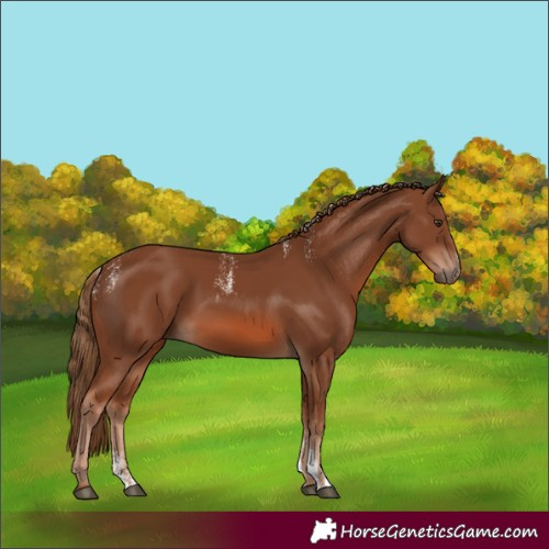 Horse Color:Powder White Chestnut