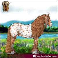 Horse Color:White Spotted Chestnut Sabino Near Leopard