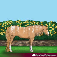 Horse Color:Powder White Chestnut 