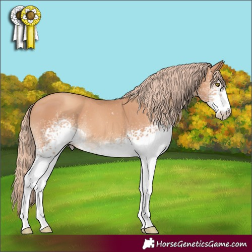 Horse Color:White Spotted Gold Champagne 