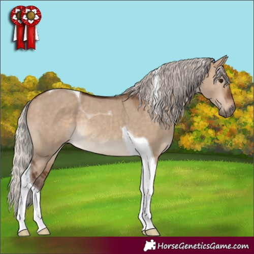 Horse Color:Silver Brown Dun Tobiano Rabicano 