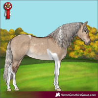 Horse Color:Silver Brown Dun Tobiano Rabicano 