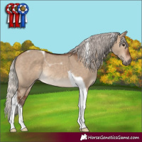 Horse Color:Silver Brown Dun Tobiano Rabicano
