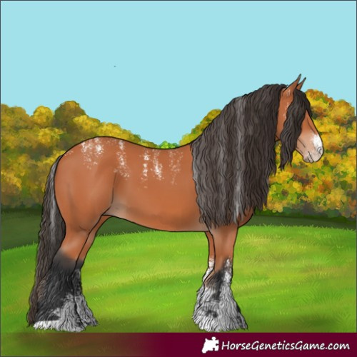 Horse Color:Powder White Bay 