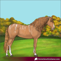 Horse Color:Powder White Chestnut 