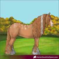 Horse Color:Powder White Chestnut 