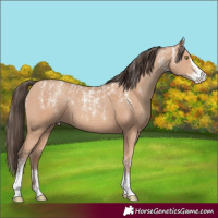 Horse Color:Powder White Amber Champagne