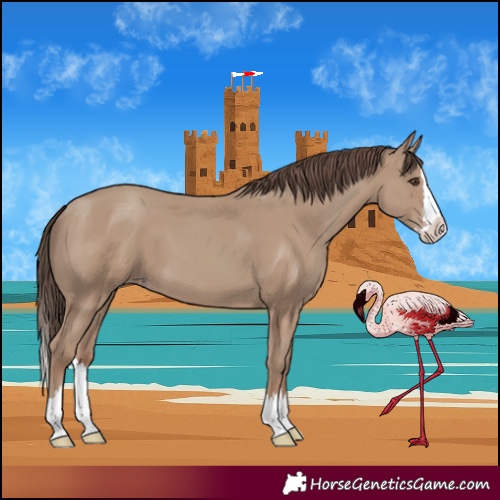 Horse Color:Classic Champagne Splash 