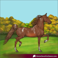 Horse Color:Powder White Chestnut