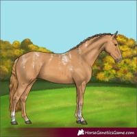Horse Color:Powder White Chestnut