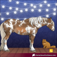 Horse Color:White Spotted Chocolate Palomino 