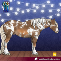 Horse Color:White Spotted Chocolate Palomino 