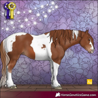 Horse Color:Chestnut Tobiano