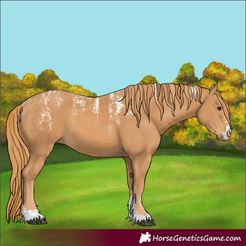 Horse Color:Powder White Chestnut 