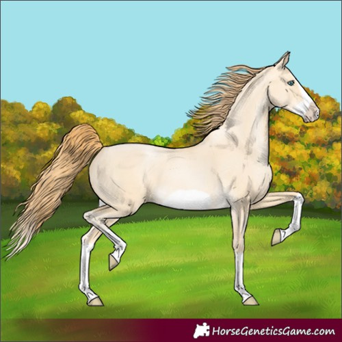 Horse Color:Buckskin Pearl Dun Splash Frame 