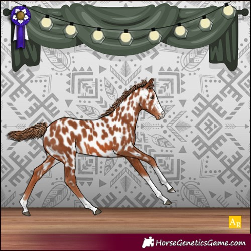 Horse Color:Chestnut Near Leopard 