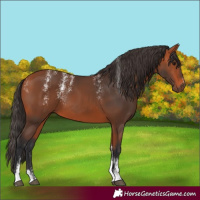Horse Color:Powder White Bay 