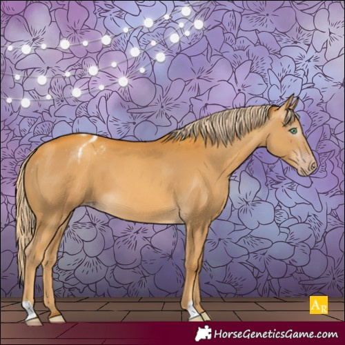 Horse Color:Gray Gold Cream Champagne Varnish 