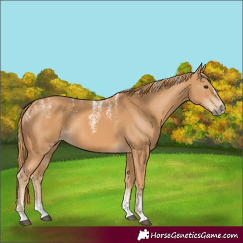 Horse Color:Powder White Chestnut 