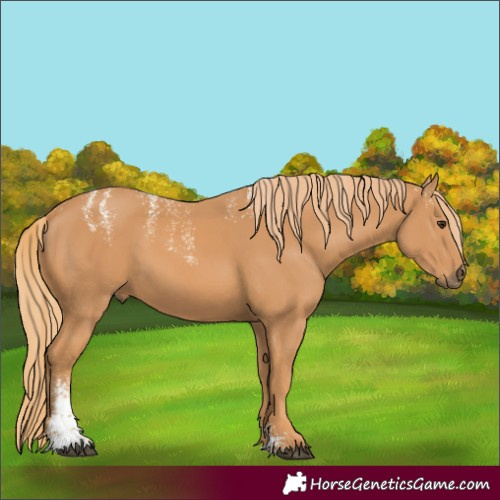 Horse Color:Powder White Chestnut 