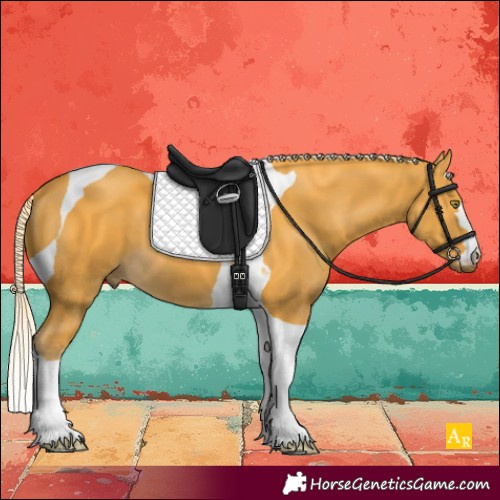 Horse Color:Palomino Tobiano 