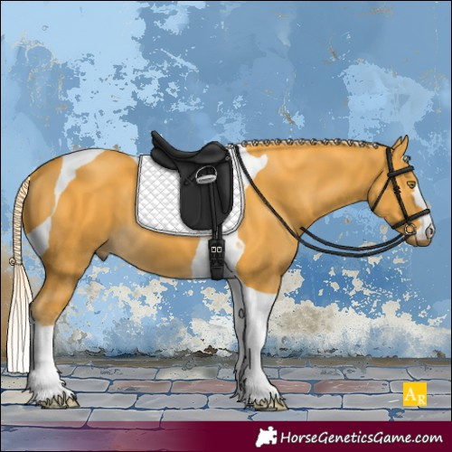 Horse Color:Palomino Tobiano 