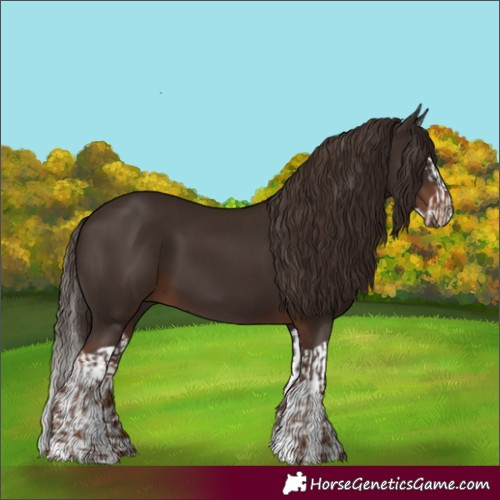 Horse Color:Liver Chestnut  and Liver Chestnut Splash 