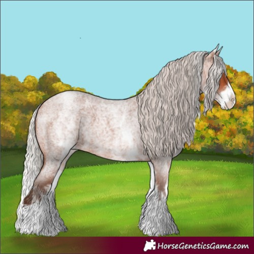 Horse Color:White Spotted Silver Bay Roan Splash