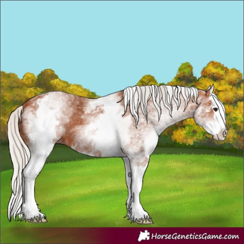 Horse Color:White Spotted Silver Bay Splash 